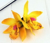 Dobbelt orkide hårclips, gul